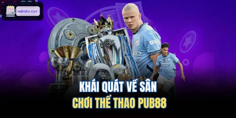 Khái quát về sân chơi thể thao 33WIN